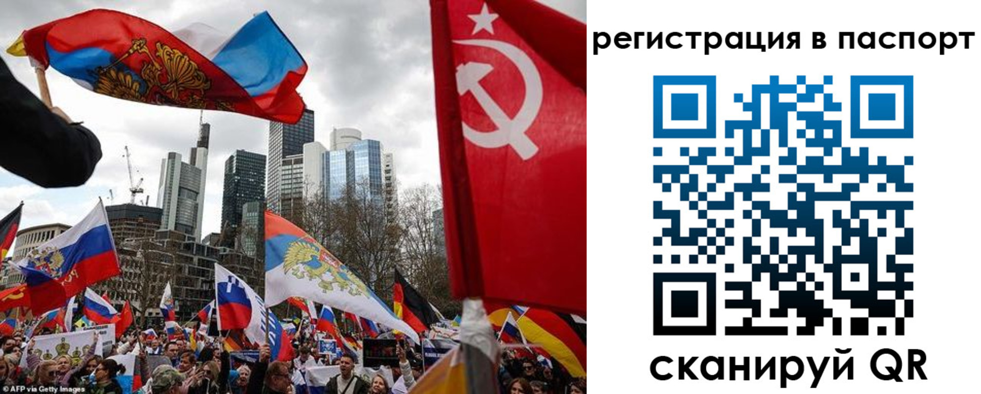 временная регистрация поиск в Палласовке